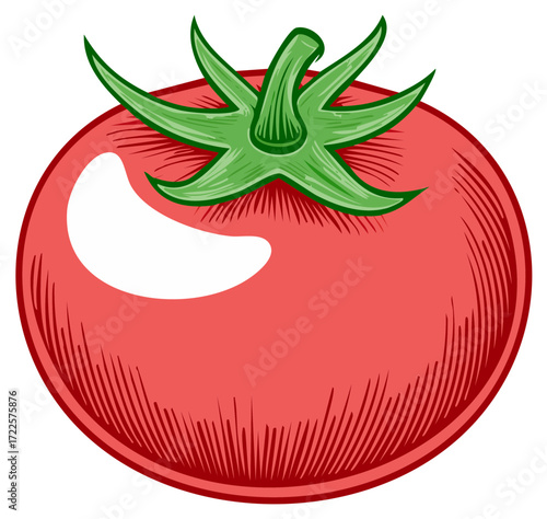 Vector illustration of a ripe red tomato with green stem