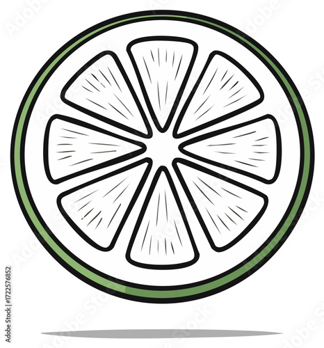 Fresh Lime Slice Vector Illustration with Detailed Segments and Green Rind