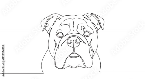 Single line drawing bulldog portrait