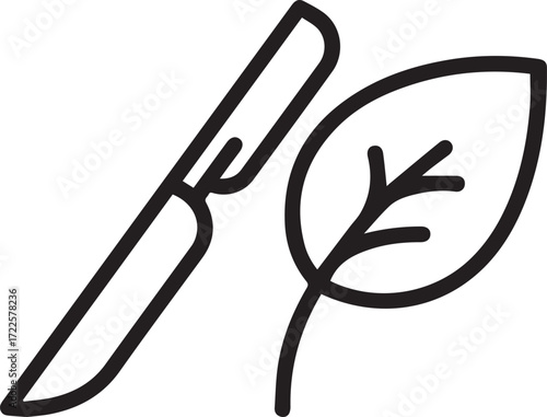 Elegant line art icon of a scalpel and leaf symbolizing natural medicine, holistic healing, or vegan skincare in a modern minimalist design originally a vector