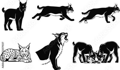 lynx silhouette, wild cat vector, wildlife clipart, flat vector, black lynx, animal silhouette, predator mammal, nature icon, roaring lynx, feline artwork