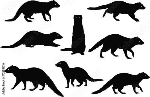 mustelid silhouette, ferret silhouette, weasel silhouette, animal vector, wildlife clipart, flat vector, black animal, woodland mammal, nature icon, animal artwork