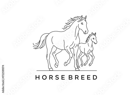 horse - equestrian logo monoline concept 