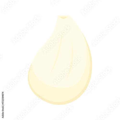 Garlic on white background. Garlic slice vector.
