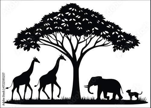 Silhouette of African animals and acacia tree on white background Keywords: africa, safari, animals, wildlife, nature, silhouette, tree, acacia, giraffe, elephant, dog, grass, savanna, landscape