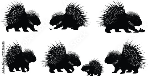 porcupine silhouette, animal vector, wildlife clipart, spiny mammal, black porcupine