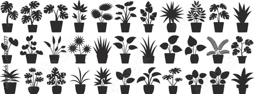 House plant silhouettes, indoor potted plants, botanical decoration, tropical leaf vector, nature design elements, black plant icons, home greenery illustration