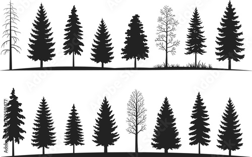 Pine tree silhouettes, bare winter trees, evergreen forest design, woodland vector illustration, natural landscape elements, black silhouette trees collection