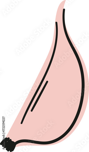 A pink garlic clove with black outline