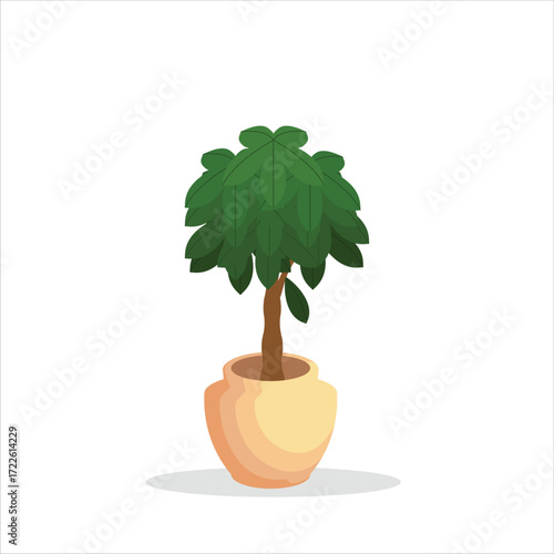 Money Tree Decorative Plant on a Pot Colored Flat Illustration