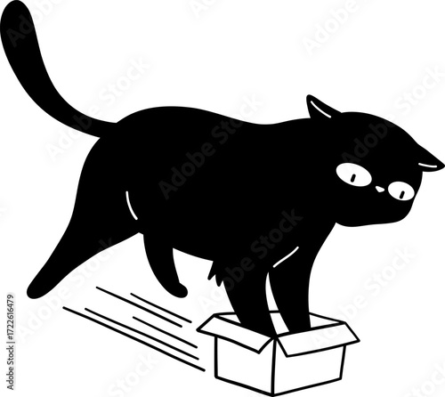 A black cat jumps into a cardboard box