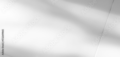 Background shadow white light wall floor backdrop overlay leaf mockup summer sunight overlay nature on room cement abstract blur muckup effect grey minimal platform for presentation product