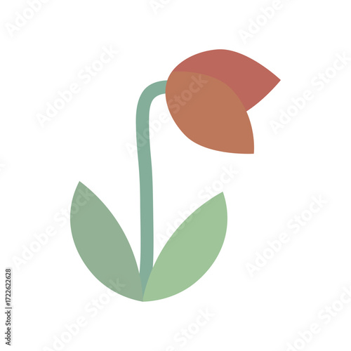 Dying dead tulip flower. Nature, plant, growth, blossom, care concepts. Flat decorative vector design isolated illustration.