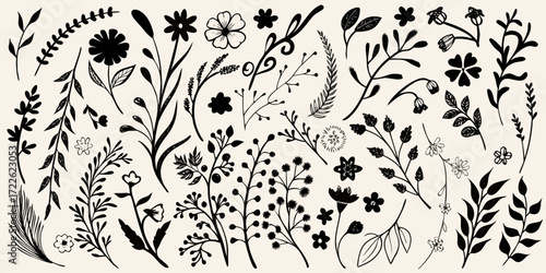 Collection of hand drawn black botanical elements and floral sprigs on a cream background