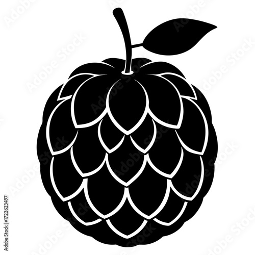 custard apple fruit isolated on white background