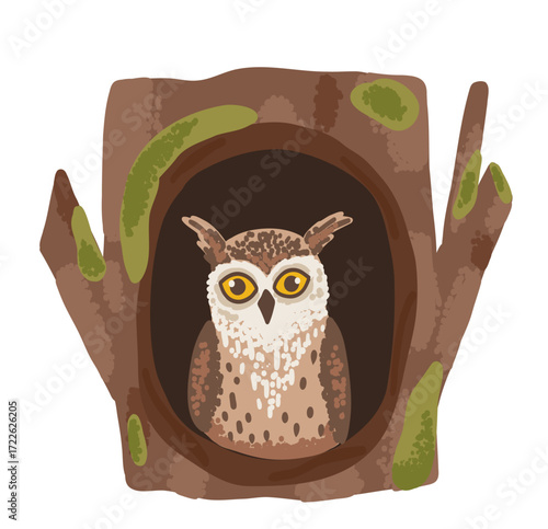 Owl bird inside home and den in forest tree. Animal hole in flat style