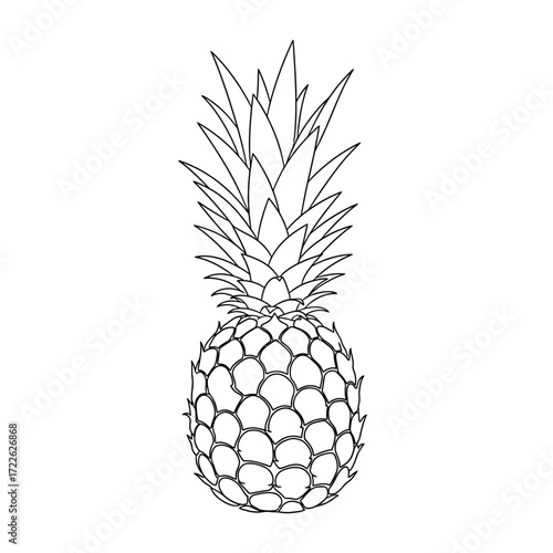 A black and white line drawing of a whole pineapple, showing its textured body and spiky crown.