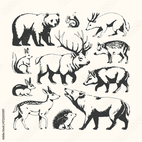 Vector art of a collection of forest animals including a bear, deer, boar, hedgehog, squirrel, and rabbit, all depicted in a vintage illustration style on a plain background
