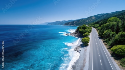 Wallpaper Mural Scenic Coastal Highway View with Deep Blue Ocean and Lush Green Vegetation Under Clear Blue Sky on a Sunny Day Torontodigital.ca