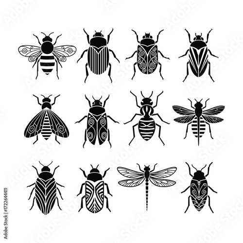 Collection of black silhouette insects with decorative patterns on white background black and white beetle