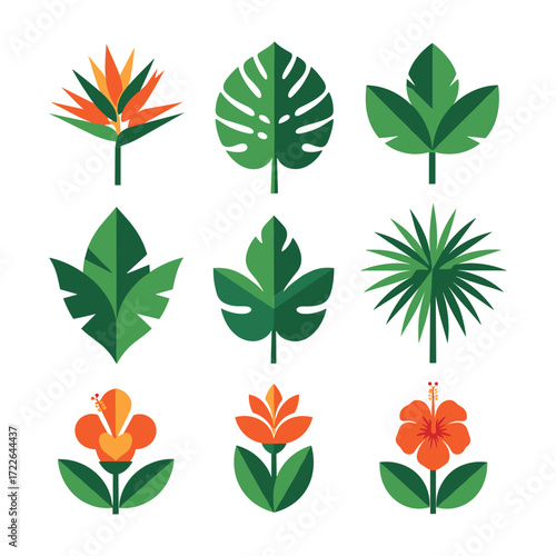 Collection of stylized tropical leaves and flowers in green orange and yellow tropical flowers bird of paradise