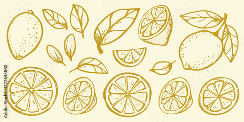 Hand drawn yellow lemon slices and whole fruits with leaves on a light background