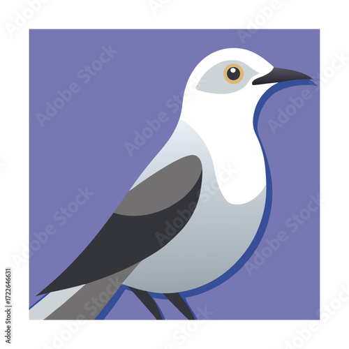 White Wagtail Bird Illustration pied wagtail avian