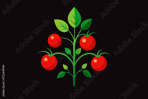 radiant tomato plant bursting with red fruit in dr
