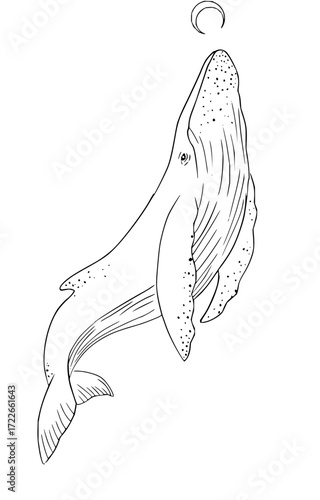 Graceful whale breaching towards crescent moon, symbolizing dreams and celestial connection, perfect for mystical themes