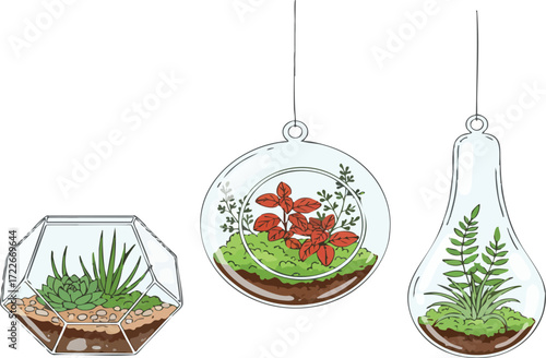 Collection of terrariums displaying various plants in glass containers, hanging and standing, showcasing miniature ecosystems with a touch of natural beauty.