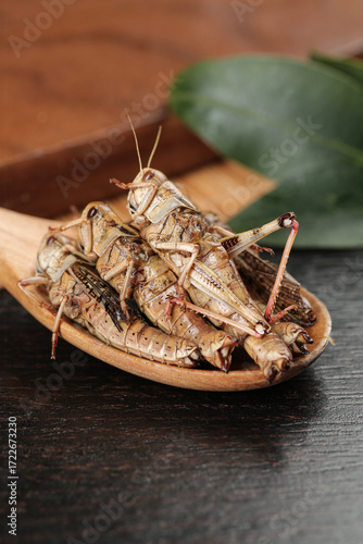 Fried Grasshoppers Traditional Asian Cuisine Shandong Province Edible Insects Alternative Protein Food