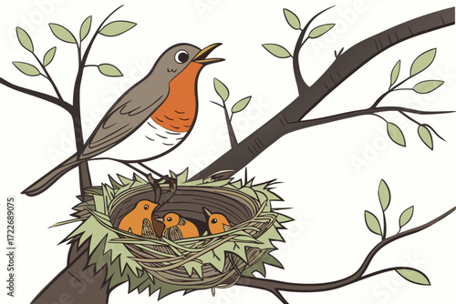 robin on a branch