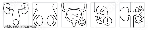 Urology icons set. Kidney and bladder related symbols. Vector editable stroke.