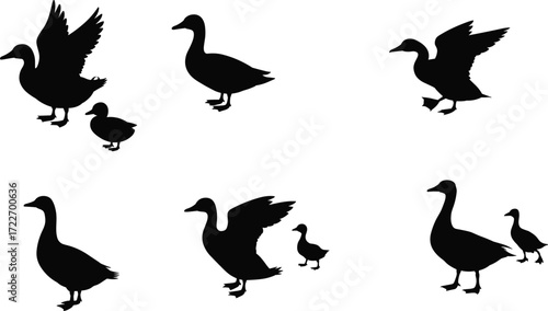 Duck and gosling silhouettes, bird family, wildlife illustration, parent and baby, nature scene, animal care, waterfowl art, outdoor life, natural behavior