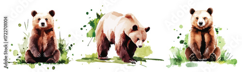 brown bear hand drawn Watercolor animals illustration. wild grizzly bears set with green abstract splashes