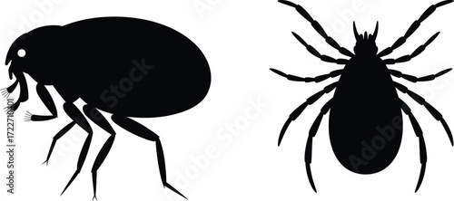 Black and white flea and tick silhouettes, insect and arachnid comparison, parasite illustration, veterinary pest control, ectoparasite anatomy graphic