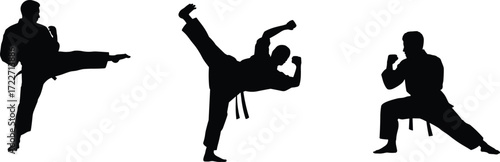 Martial arts silhouettes, karate training poses, self defense practice, martial artist kicking, combat sports illustration, traditional uniform, fitness discipline, strength