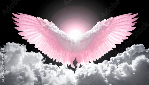Pink angel wings on clouds