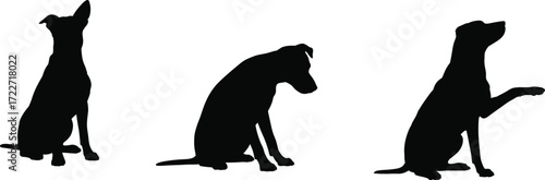 Dog silhouettes sitting, black and white pet illustration, canine posture art, domestic animal design, training gesture graphic, puppy sitting poses