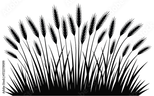 Prairie Grass Silhouette Vector,  Black Meadow Grass with Tall Blades and Soft Plumes – Ideal for Nature-Themed Designs, Landscapes, Countryside Posters, Rural Backgrounds, and Graphic Illustrations