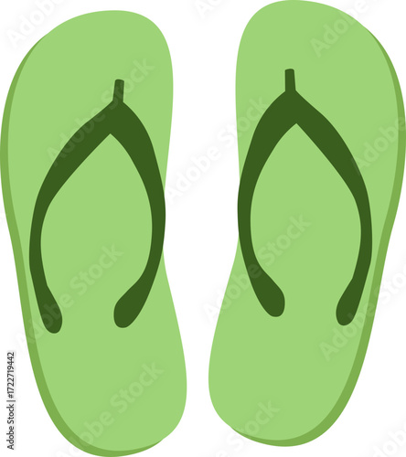 Pair of Beach Flip-Flops
