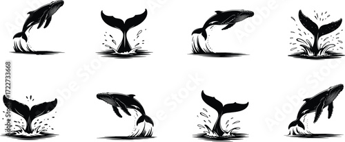 Whale illustration artwork, black and white whale drawing, marine life sketch, ocean wildlife art, breaching whale design, aquatic animal concept, nature graphic