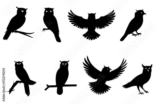 Set of  black silhouette of an owls in different positions