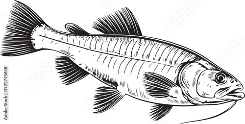 Vintage Fish engraving outline vector art illustration design, Fish silhouette, hand drawn, line art fish design