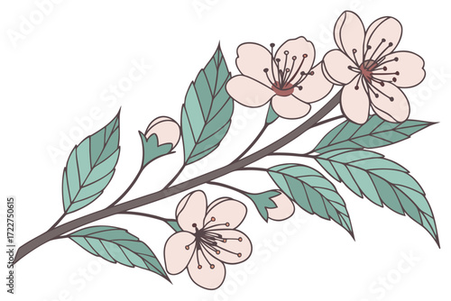 Cherry blossom branch illustration - floral art print | editable svg