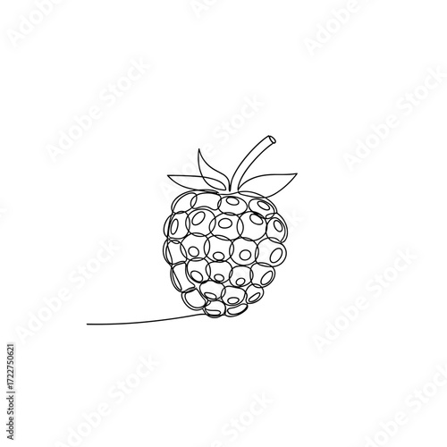 Single raspberry with stem in minimalist black line art style