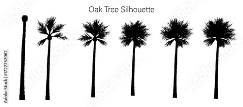 Silhouette of a row of palm trees with varying degrees of foliage density and growth stages in black and white