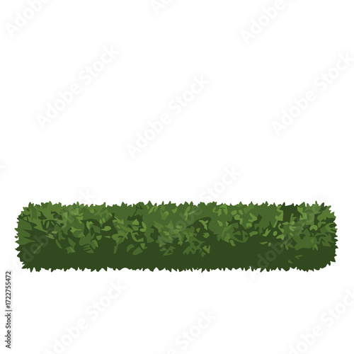 Perfectly trimmed shrub hedge , top view