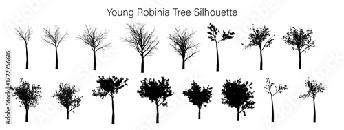 Silhouette collection of various young robinia trees displayed against a white background in a pattern like array