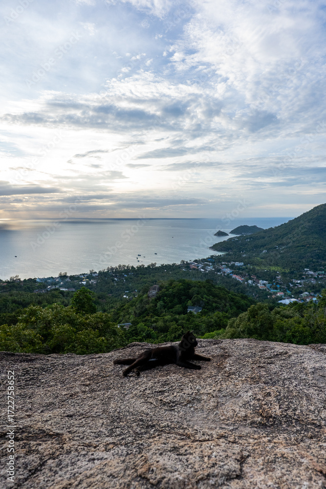 Fototapeta premium Black cat resting on cliff edge at Two Rocks Viewpoint with panoramic view of the West coast of Koh Tao, Thailand